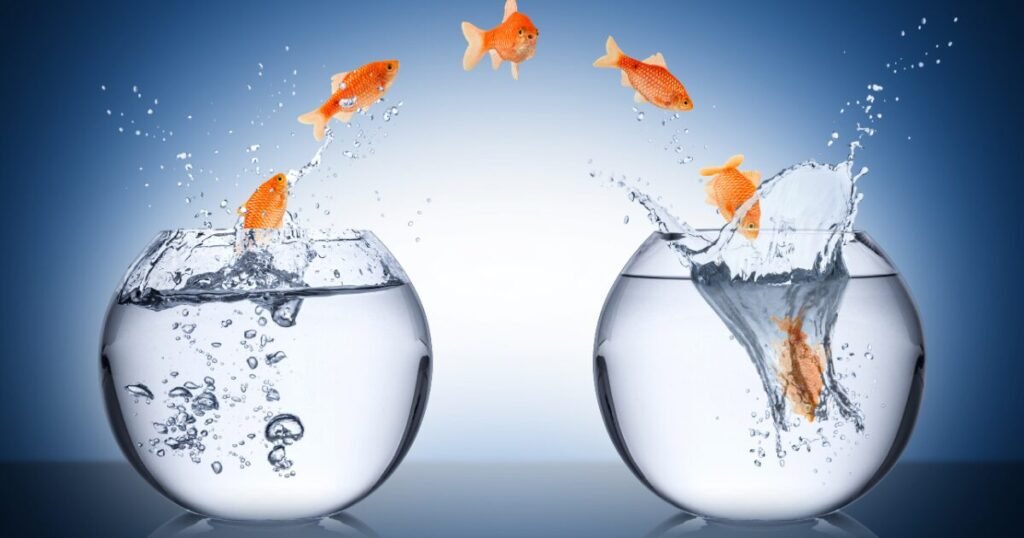 começar a mudar de vida