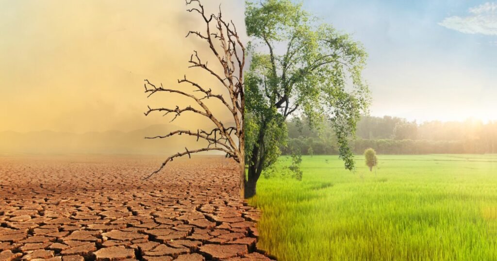 Por Que Não Consigo Mudar de Vida? Entenda e Supere 2 Mudar de Vida