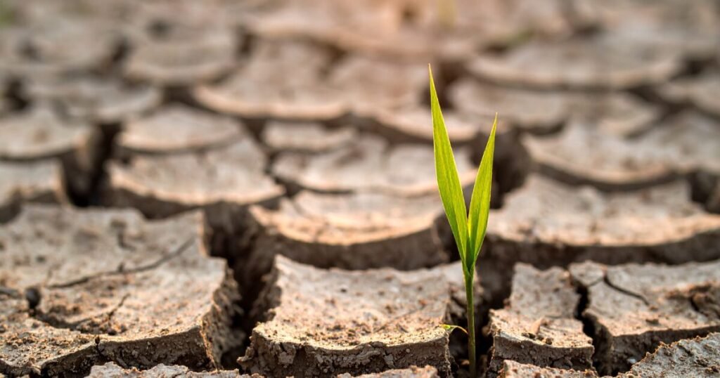 Como Sair da Estagnação Emocional e Voltar a Evoluir de Verdade 3 mudar devida