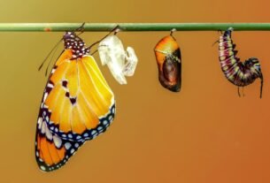 passos para a mudanca