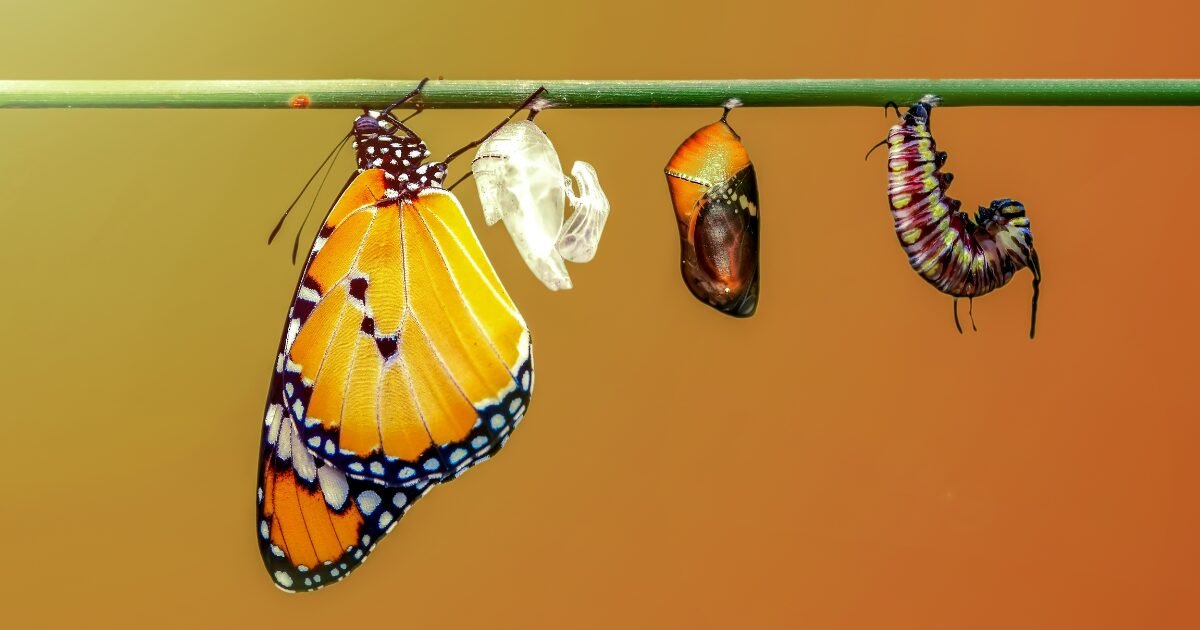 passos para a mudanca